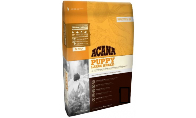 Acana puppy Large Breed 17kg